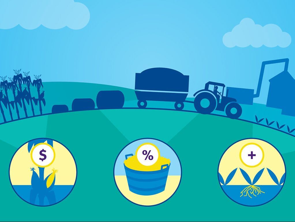 Example of design work featuring a custom illustration of a tractor pulling bales of hay from the field to the facility accompanied by three icons